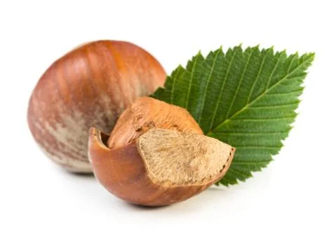 Hazelnuts Stock Photos