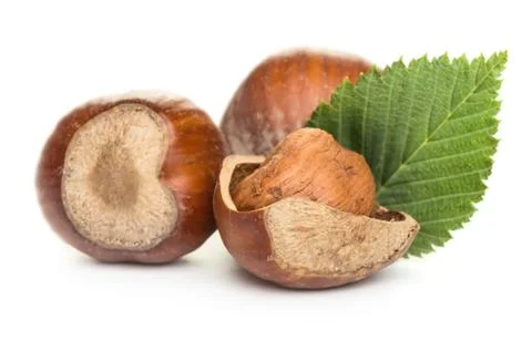 Hazelnuts Stock Photos