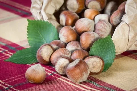 Hazelnuts Stock Photos