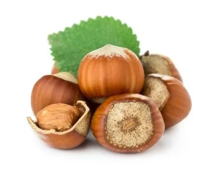 Hazelnuts Stock Photos
