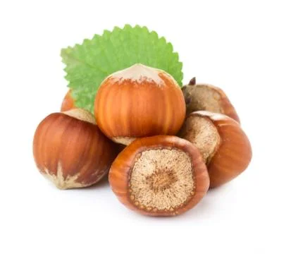 Hazelnuts Stock Photos