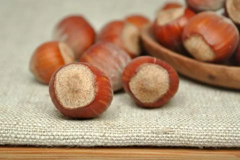 Hazelnuts Stock Photos
