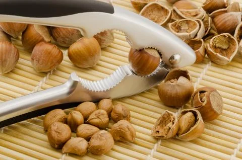Hazelnuts Stock Photos