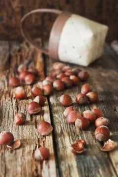 Hazelnuts Stock Photos