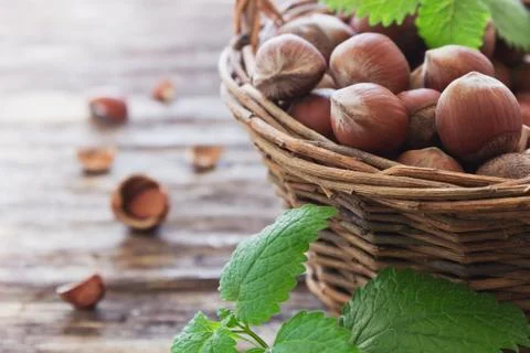 Hazelnuts Stock Photos