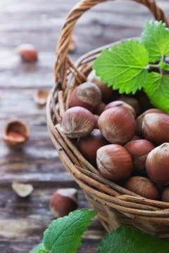 Hazelnuts Stock Photos