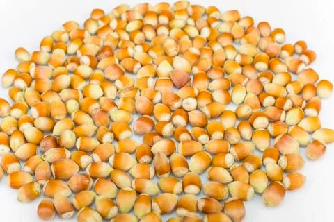 Hazelnuts Stock Photos