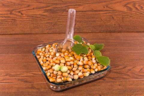 Hazelnuts Stock Photos