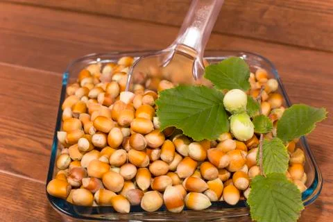 Hazelnuts Stock Photos