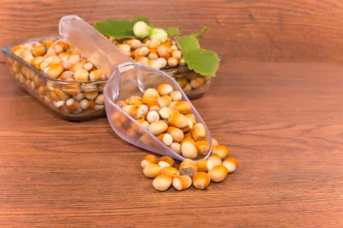 Hazelnuts Stock Photos