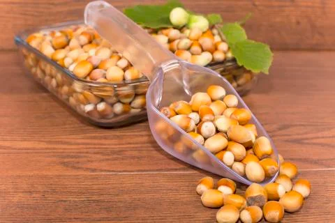 Hazelnuts Stock Photos