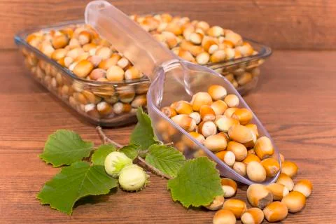 Hazelnuts Stock Photos