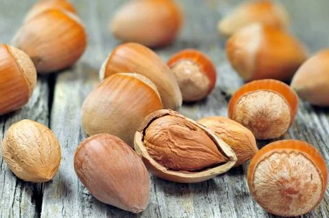 Hazelnuts Stock Photos
