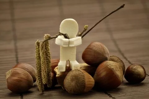 Hazelnuts Stock Photos