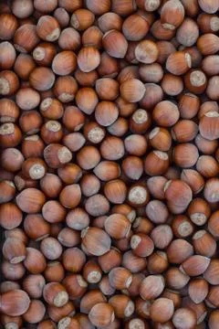 Hazelnuts Stock Photos