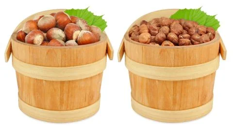 Hazelnuts Stock Photos