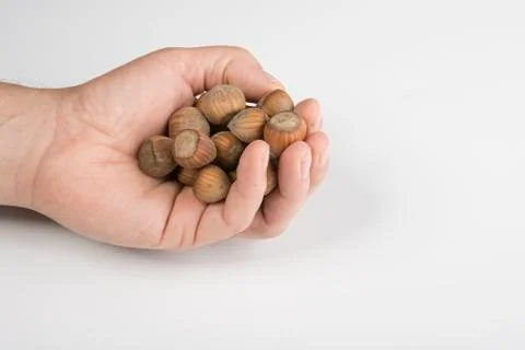 Hazelnuts Stock Photos