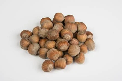 Hazelnuts Stock Photos