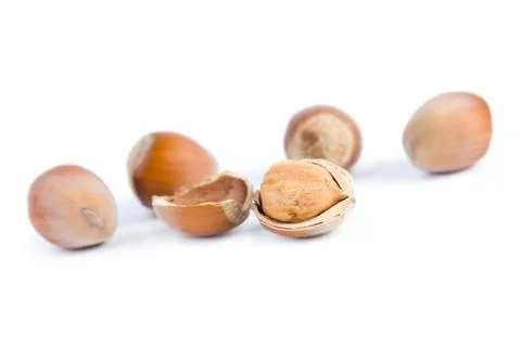 Hazelnuts Stock Photos