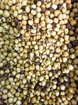 Hazelnuts Stock Photos