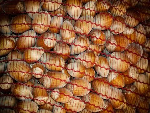 Hazelnuts Stock Photos