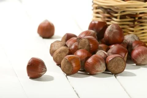Hazelnuts Stock Photos