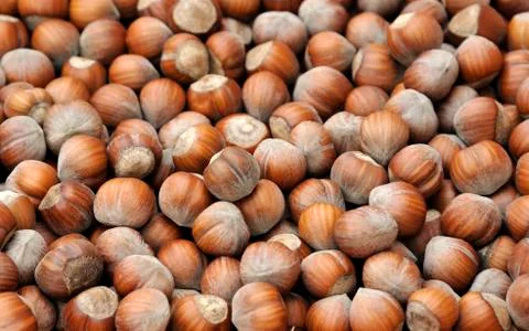 Hazelnuts Foto stock