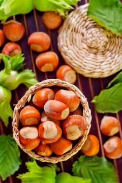 Hazelnuts Stock Photos
