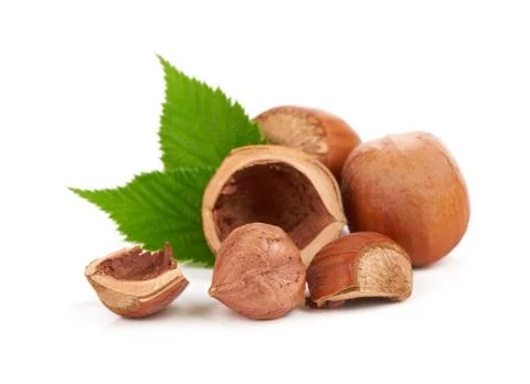 Hazelnuts Stock Photos