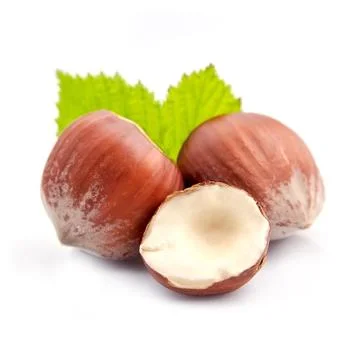 Hazelnuts . Stock Photos