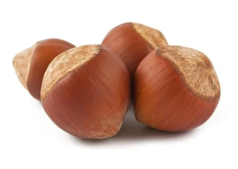 Hazelnuts Stock Photos