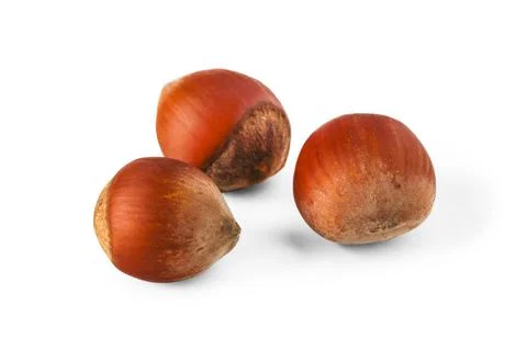 Hazelnuts Stock Photos