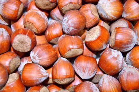 Hazelnuts Stock Photos
