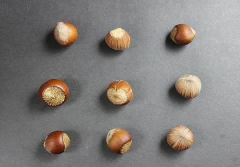 Hazelnuts Stock Photos