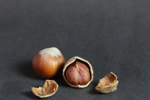 Hazelnuts Stock Photos