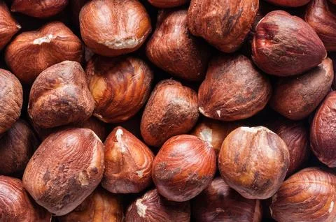 Hazelnuts Stock Photos