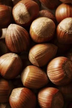 Hazelnuts 스톡 사진