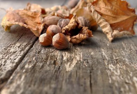 Hazelnuts on a plank Stock Photos