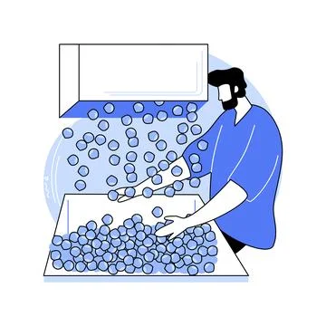 Hazelnuts production isolated cartoon vector illustrations. Illustrazione stock