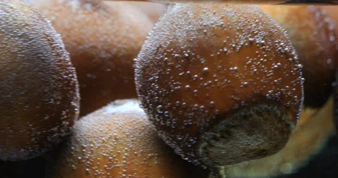 Hazelnuts. Ripe hazelnuts hazelnuts in water . Stock Footage 121720736