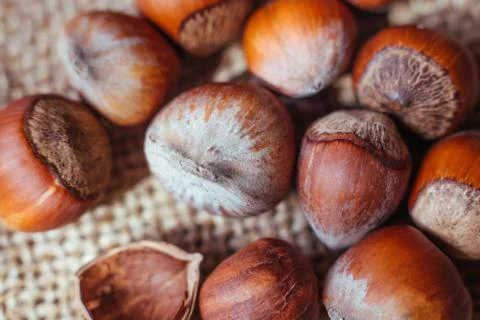 Hazelnuts on rustic background Foto stock