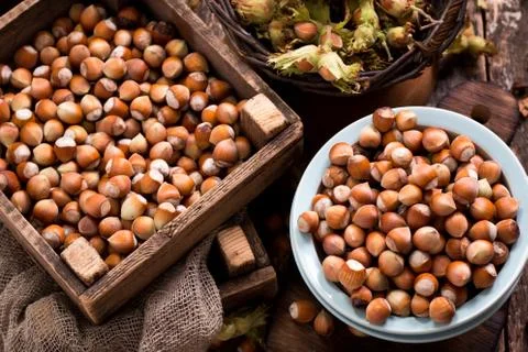 Hazelnuts on rustic wooden background Stock Photos