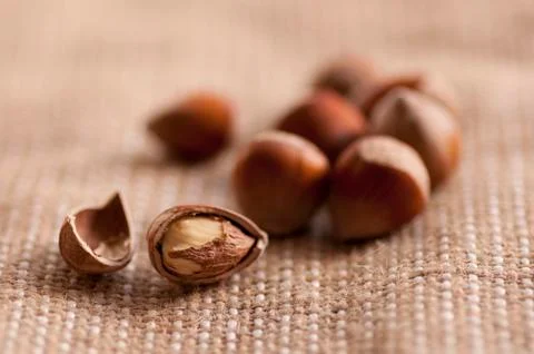 Hazelnuts on sacking Stock Photos