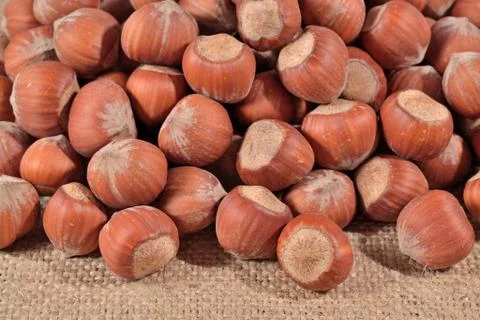 Hazelnuts in a sacking Stock Photos