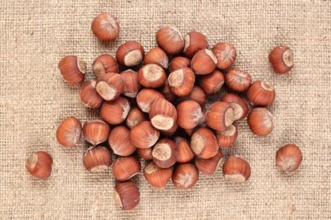 Hazelnuts in a sacking Stock Photos