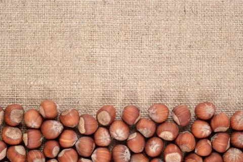 Hazelnuts in a sacking Stock Photos