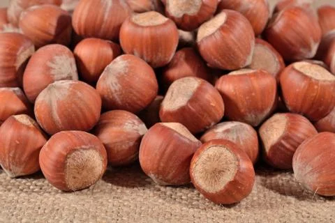 Hazelnuts in a sacking Stock Photos