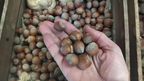 Hazelnuts in a self-service box in a store Stock Footage 305900045