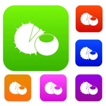 Hazelnuts set collection Stock Illustration