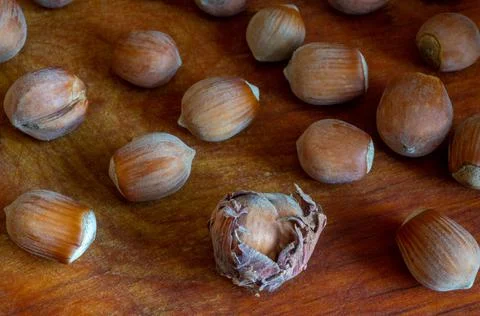 Hazelnuts on a shabby background 스톡 사진